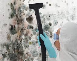 Mold Odor Removal Services in Ovid, MI